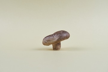 mushrooms001