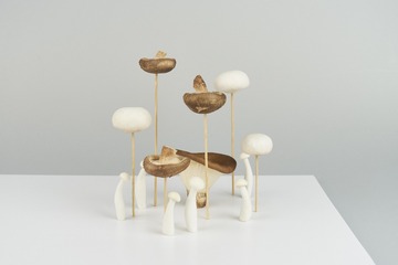 mushrooms028