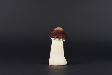 mushrooms039