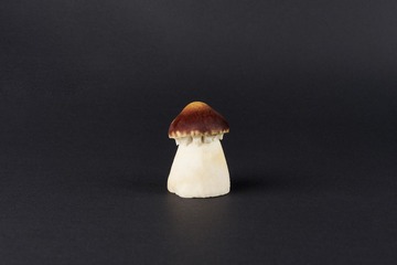 mushrooms037