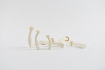 mushrooms010