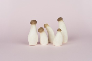mushrooms044