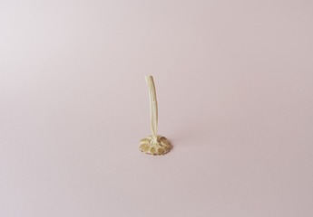 garlic stick