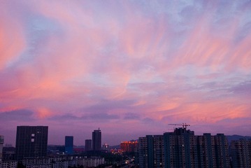 DSC_0012.jpg
