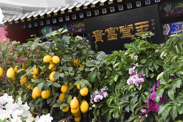 夏雨了