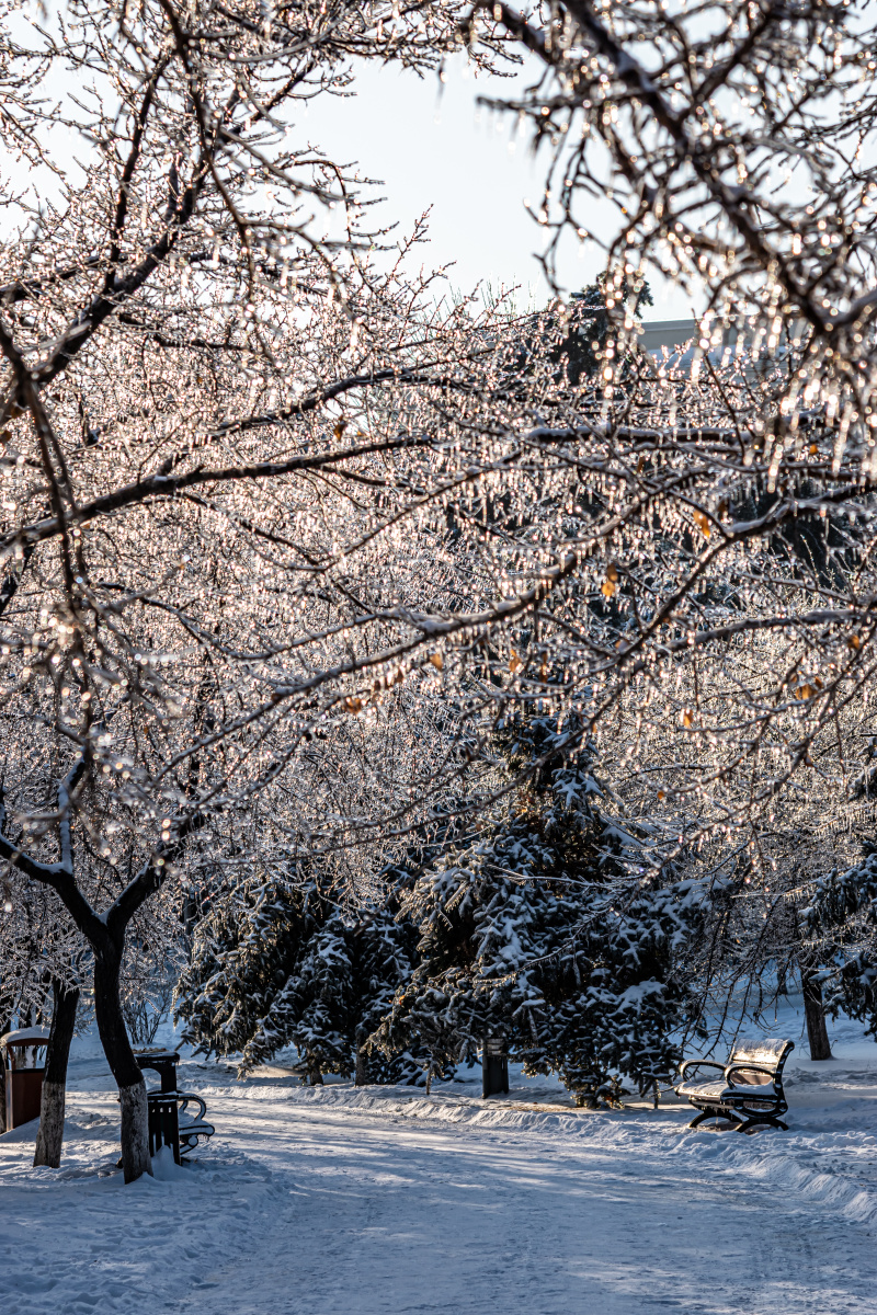中国长春御花园冬季景观