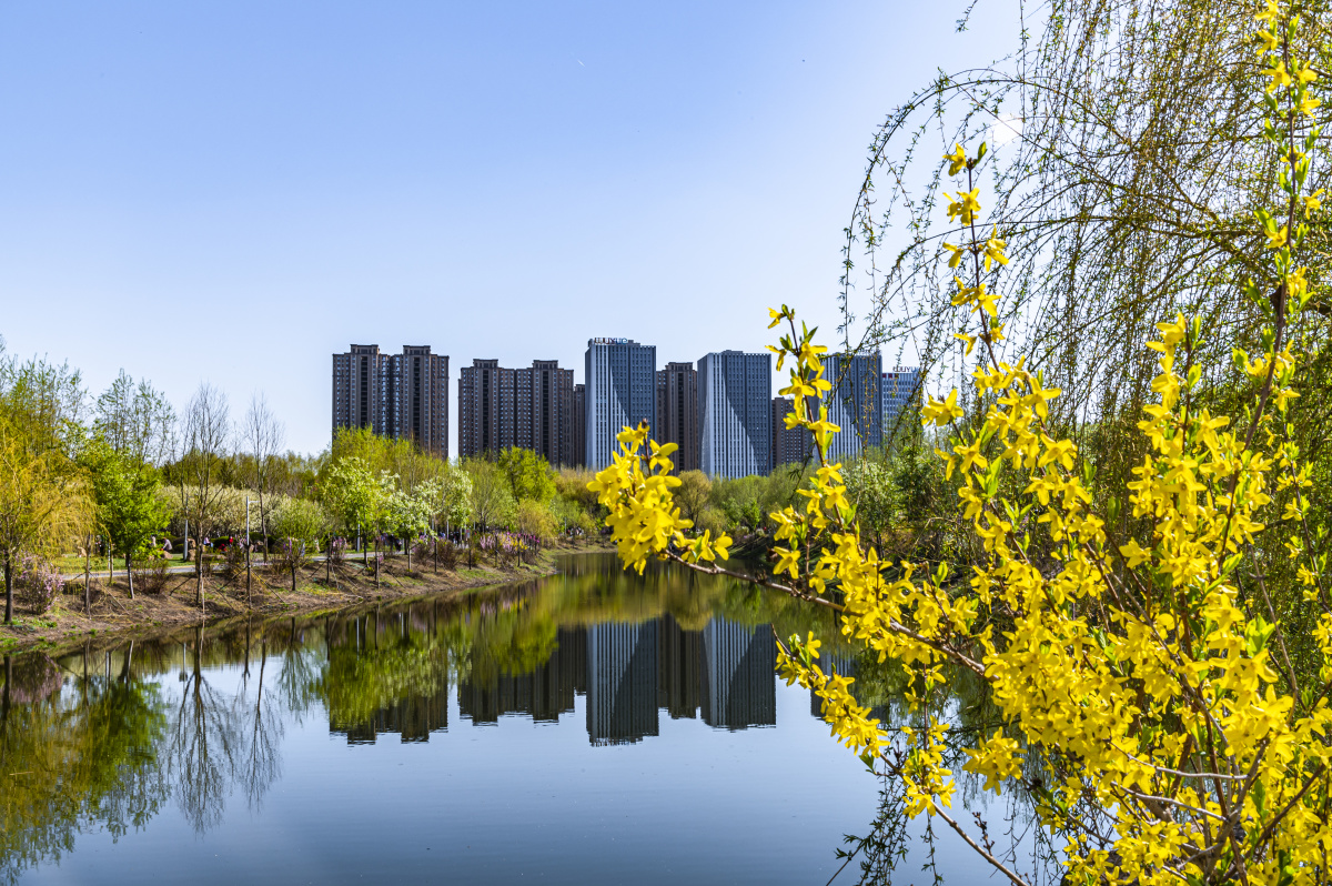 中国长春公园春季景观