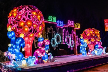 中国长春公园大型主题冰雪灯光展景观 (4)