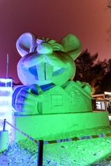 中国长春南湖公园迎接春节的冰雪灯光展夜景 (5)