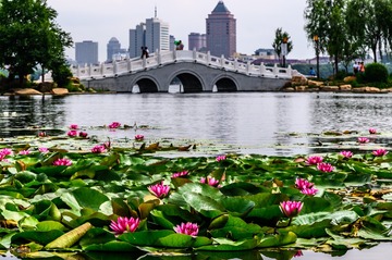 中国长春南湖公园景观 (1)