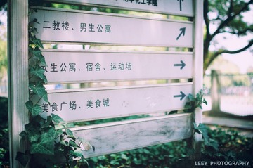 毕业季 往哪走