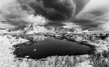 Reine in B&W