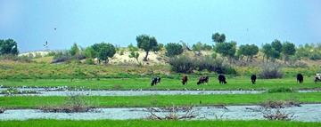 DSC0 aef43 df62.jpg