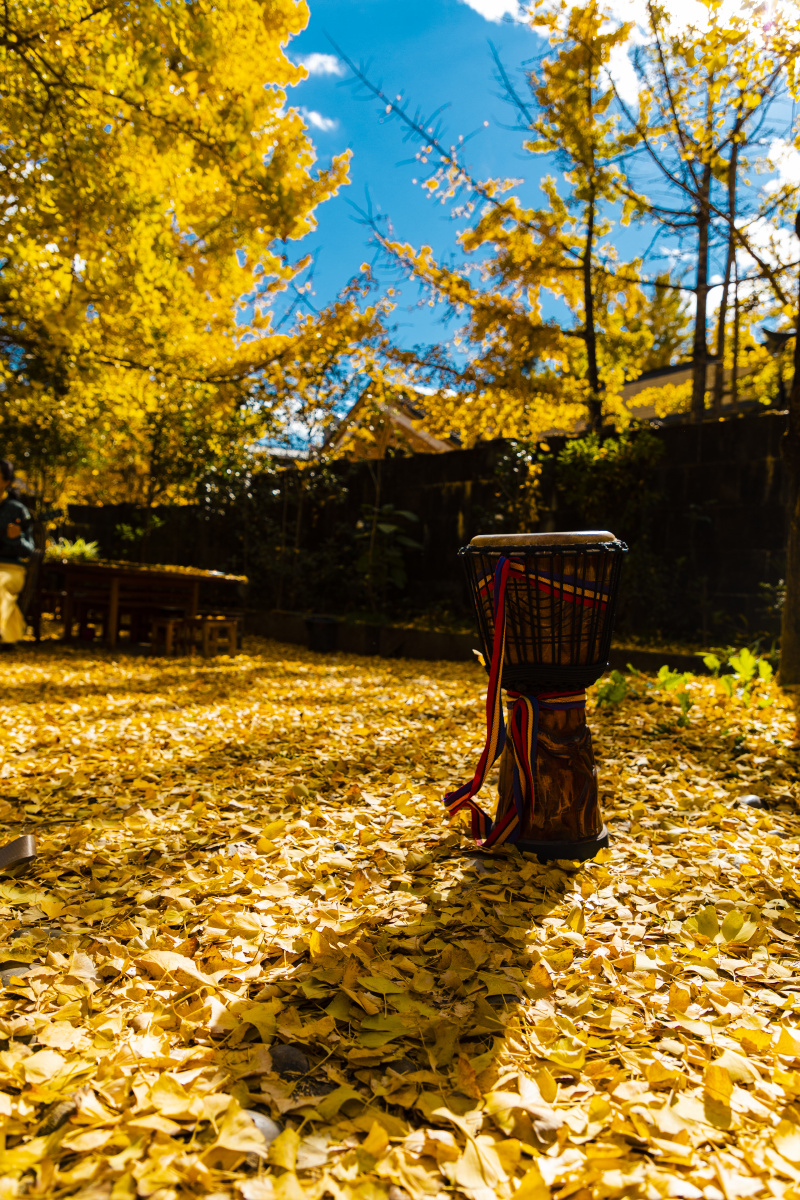 金色腾冲 - 三少云南旅拍 - 图虫