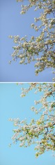 59AB0501-1DEE-4F16-B5AF-BA27371CA9B8/L0/001