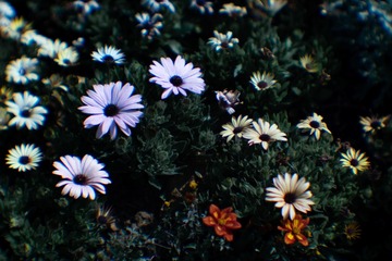 39B32E48-3F24-44AD-A16D-151C832BDC32/L0/001