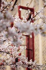 _DSC0080_