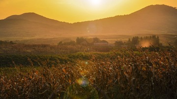 _DSC3805
