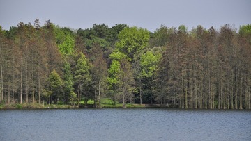 _DSC5828
