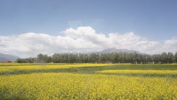 DSC04121.JPG