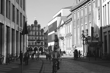 IMG_7013.jpg