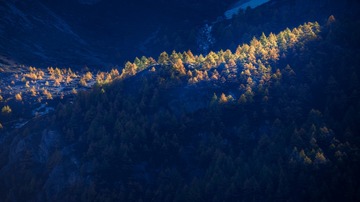 DSC_3842-1