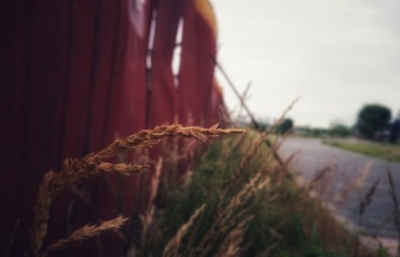 37967