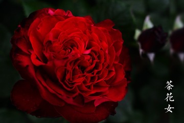 38BC2B2C-74A9-4BD7-A19B-E480A8DCFB44/L0/001