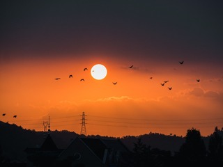 06713AC9-1665-4F13-AB66-B375809EE900/L0/001