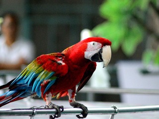DSC_2652.jpg