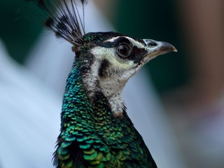 DSC_2660.jpg
