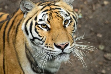 DSC_3087.jpg