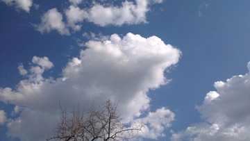 IMAG276
