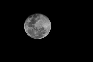 _DSC3466.JPG