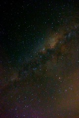 _DSC0846