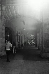 _DSC0864