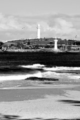_DSC3493