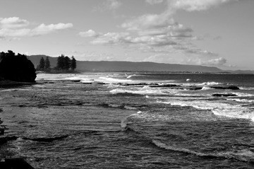 _DSC3507