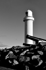 _DSC3548