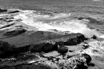 _DSC3555