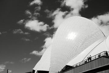 _DSC1023