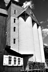 _DSC3603