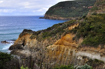_DSC3984