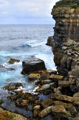 _DSC4150