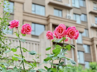 9A0BB1F0-699D-4D8A-A3C4-6028DF36F15A/L0/001