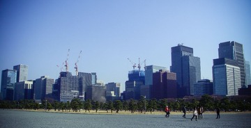 DSC03010.jpg