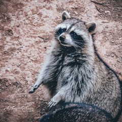 7078