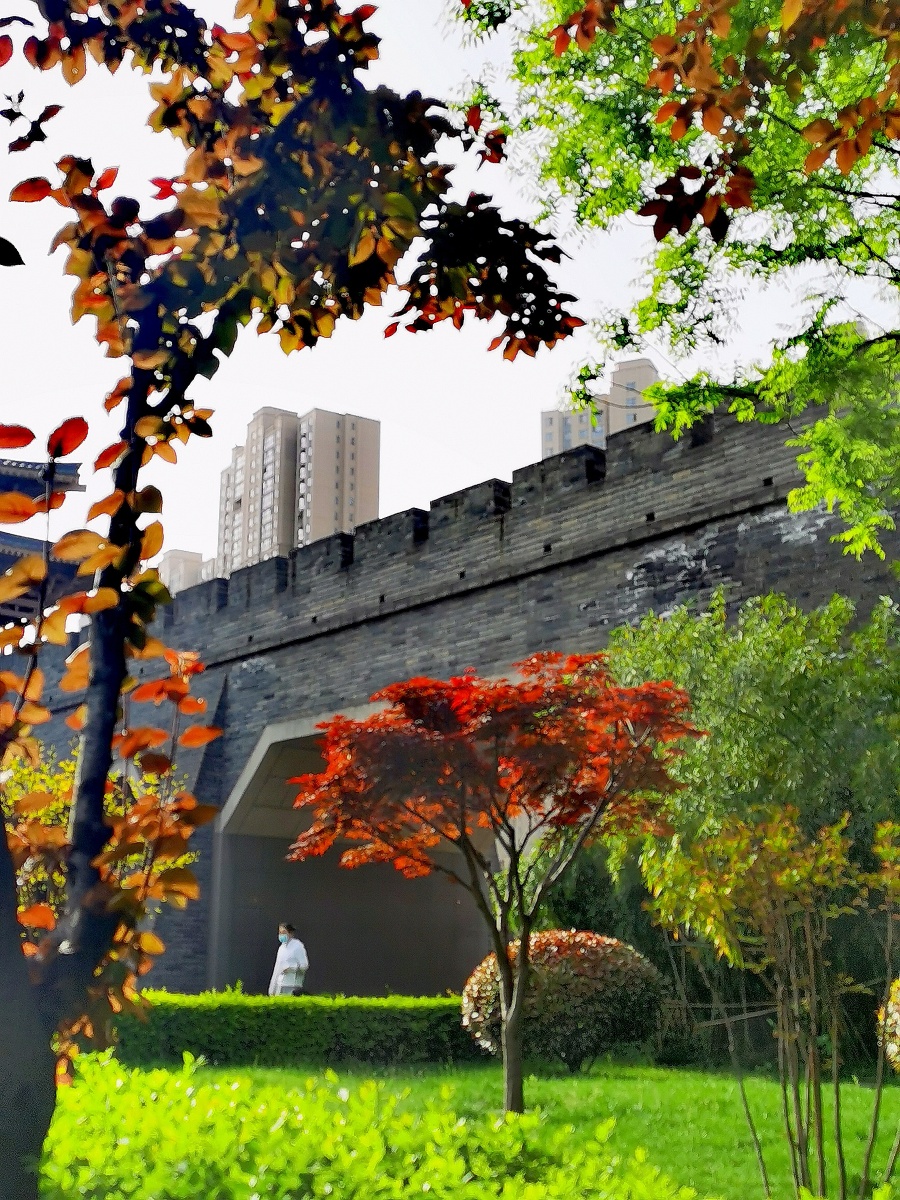 西安晨曦美如画拍摄于陕西西安市曲江街道一瞥