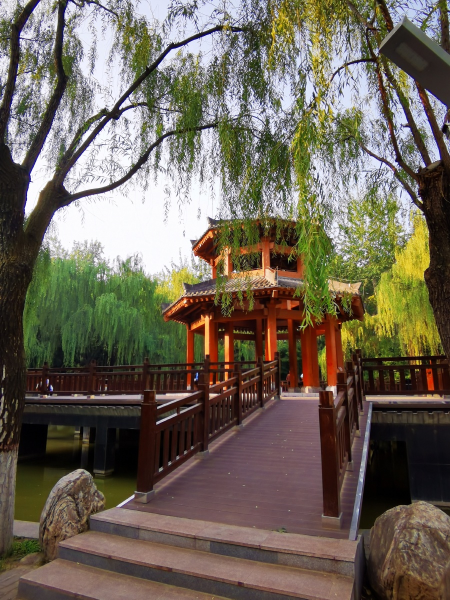 公园一角2020年7月3日公园一角拍摄于陕西西安市长乐公园