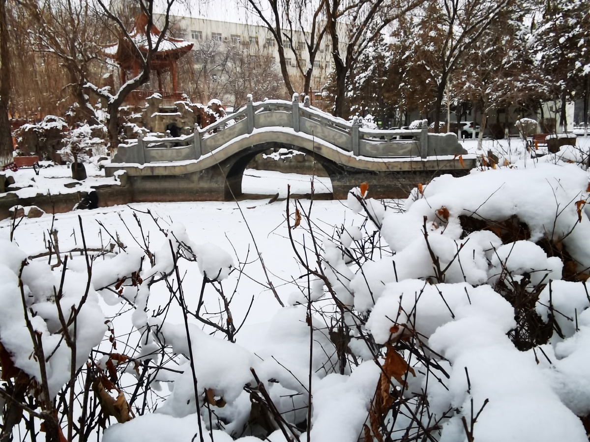 新疆乌鲁木齐雪景如画2020年12月12日连续几日的降雪乌鲁木齐市到处